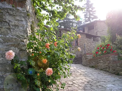 Ingresso parco delle rose